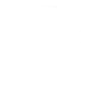 Logo branco I DEV